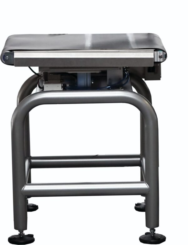 HPS-IFC - Hardy Infeed/Pacing Conveyor for Product Inspection
